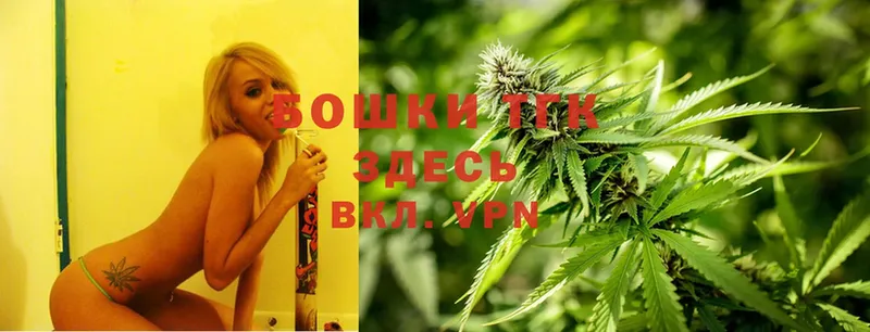 Бошки марихуана SATIVA & INDICA  где можно купить наркотик  Лысково 